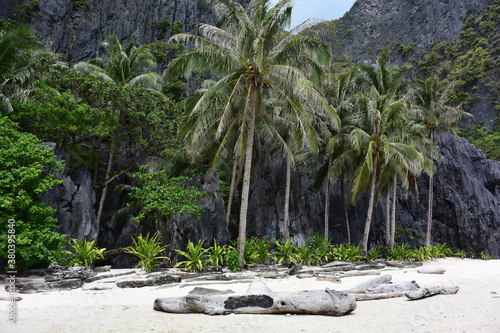 Palmeras en la playa