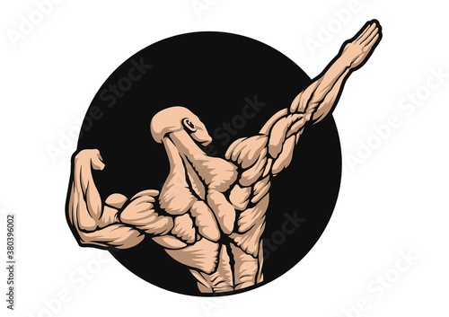 strong muscular bodybuilder posing back, vector, logo, mascot, sport, character, design