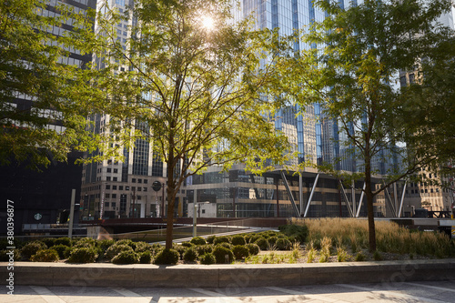 Green and glass environmentally friendly urban architecture for sustainability in city center downtown.
