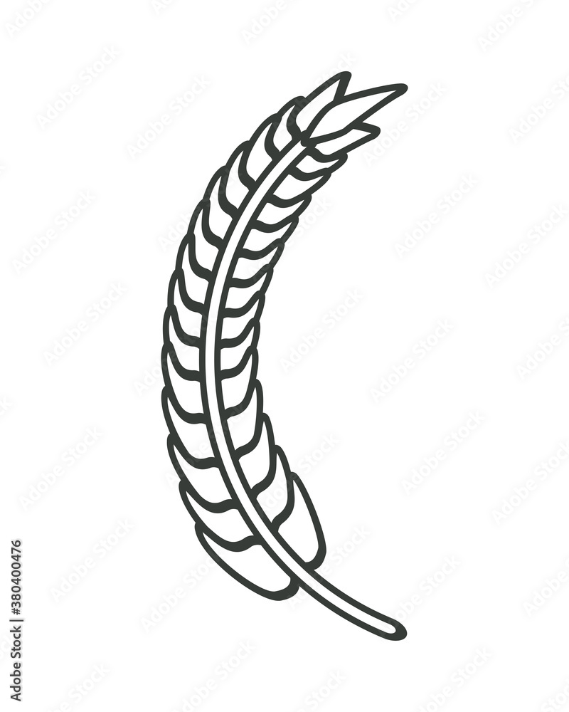 monochrome barley wheat spike nature icon monochrome barley wheat spike nature icon
