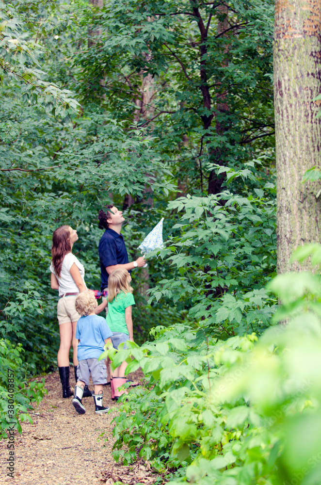 family of four exploring the forest family of four exploring the forest