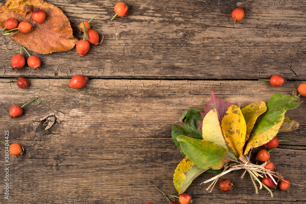 Festive autumn mockup of berries and leaves on a natural wooden background. Autumn composition with copy space top view. The concept of Thanksgiving or Halloween. Festive autumn mockup of berries and leaves on a natural wooden background. Autumn composition with copy space top view. The concept of Thanksgiving or Halloween.