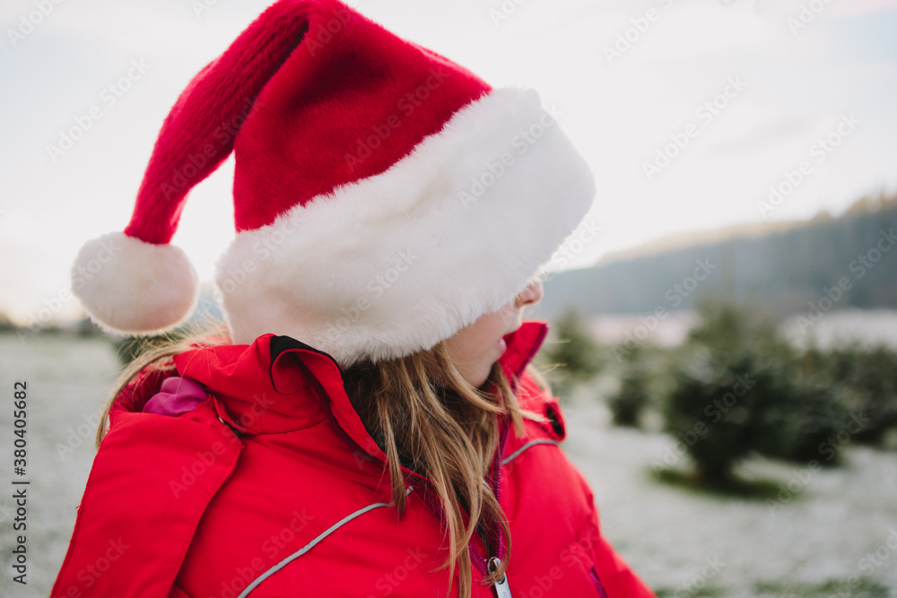 Christmas tree hunt at the tree farm with festive hats Stock Photo