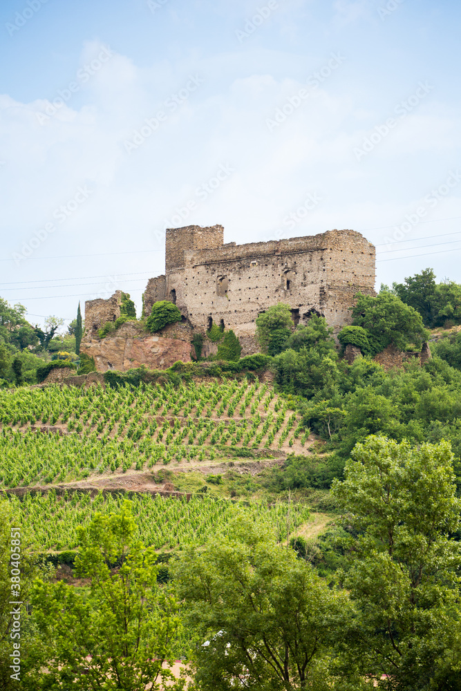 The ruins of a medieval castle adjacent to a vineyard in Lorie-Sur-Rhone, France.
