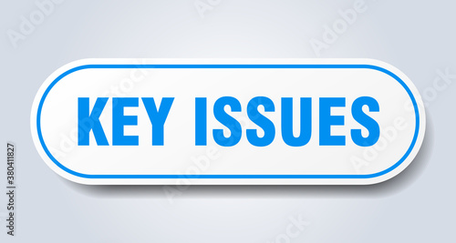 key issues sign. rounded isolated button. white sticker