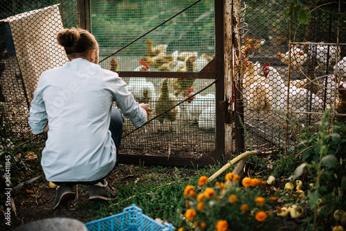 Young city guy wearing light blue office shirt at the farm watching chickens at their coup photo