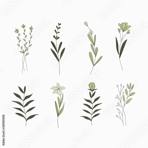 Set of floral elements. Flower and green leaves. Wedding concept - flowers. Floral poster  invite. arrangements for greeting card or invitation design