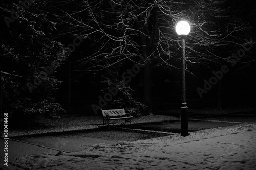 Tranquil scene of a winter landscape by night with a bench a lamp and snow photo