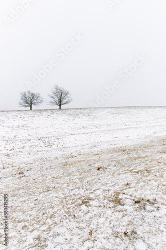 Wallpaper Mural Rural Winter Scene in Massachusetts Torontodigital.ca