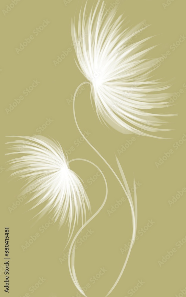 Silhouette of white flowers for the interior Silhouette of white flowers for the interior