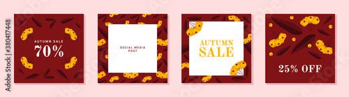 Set of autumn theme templates for social media, mobile apps, banners, ads. Burgundy color abstract square art templates with floral elements, pyracantha berries, leaves.