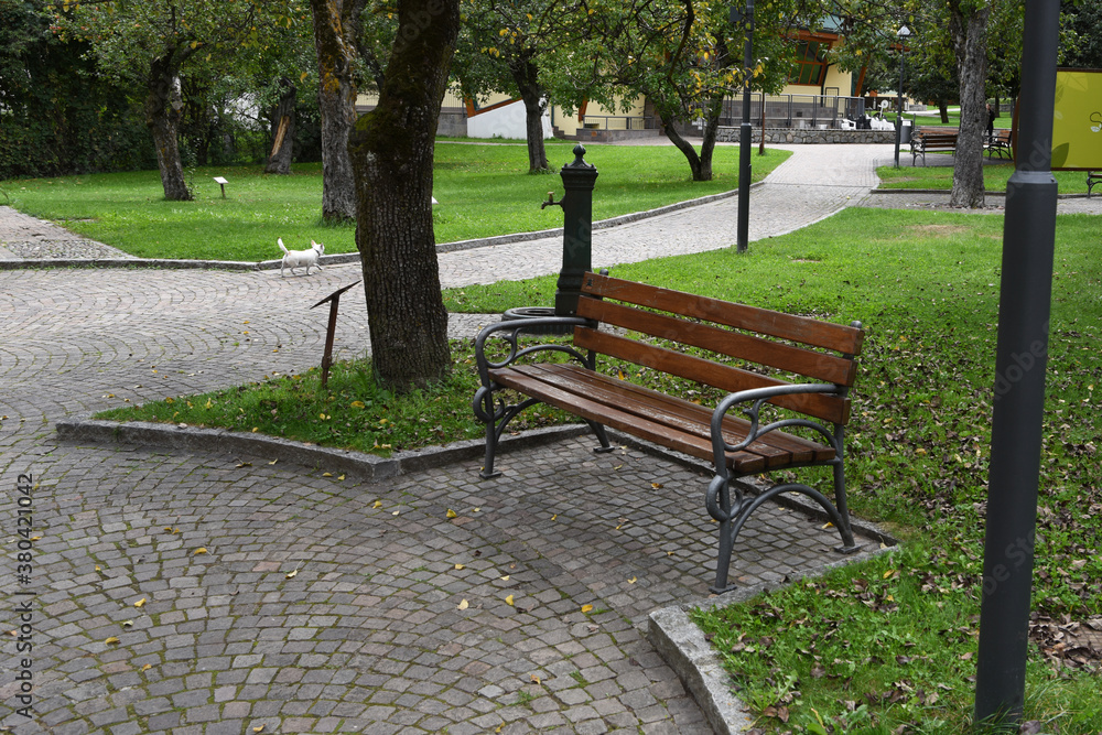 Fototapeta premium panca al parco panchina parco città 