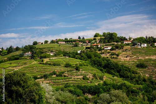 Vineyards along the Rhone River at Ampus, France.