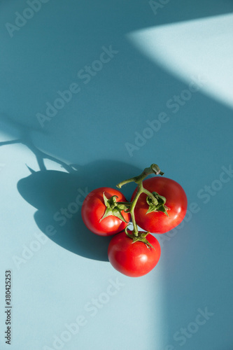 Tomatoes on blue background