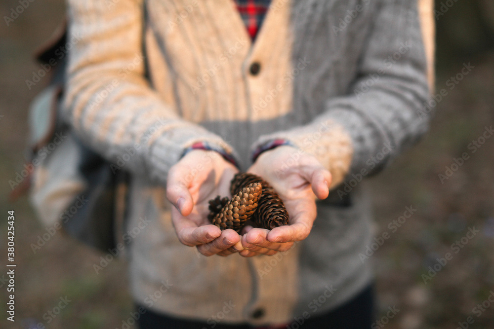 Man holding fir cones Man holding fir cones