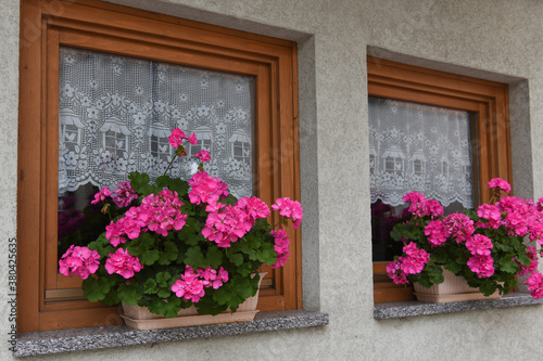 Fototapeta Naklejka Na Ścianę i Meble -  finestra con fiori fioriera fiorirai 