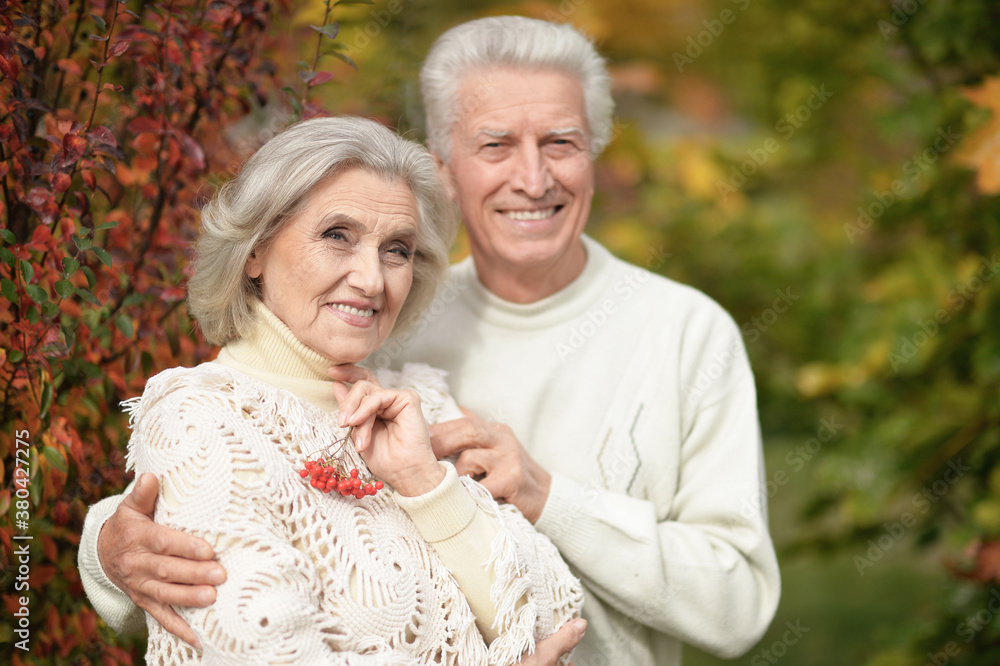 Beautiful senior couple with rowan in the park Beautiful senior couple with rowan in the park