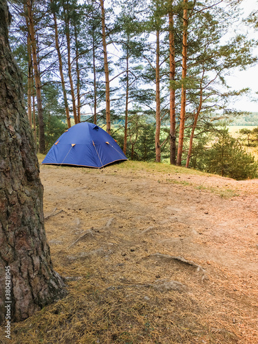 Camping tent in pine tree forest