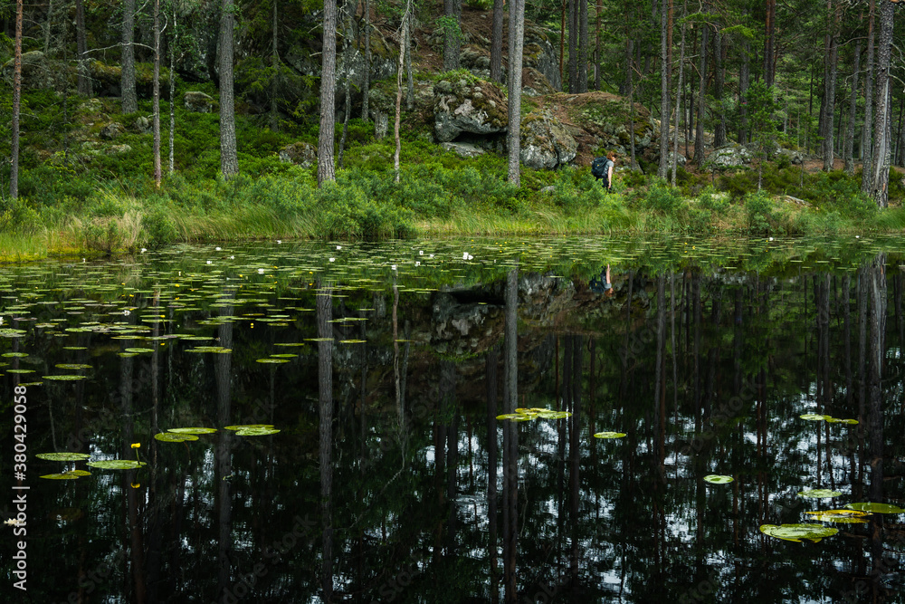 lake in the deep forest lake in the deep forest