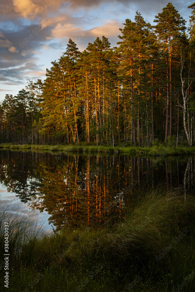 autumn trees reflected in water autumn trees reflected in water
