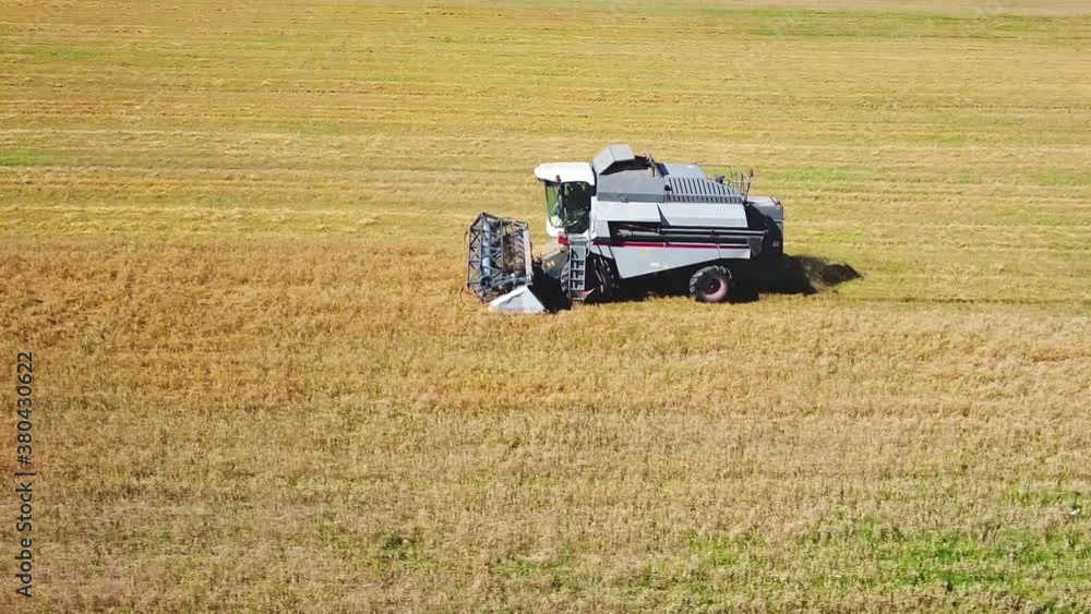 Harvester harvests grain in the field. Top view Harvester harvests grain in the field. Top view