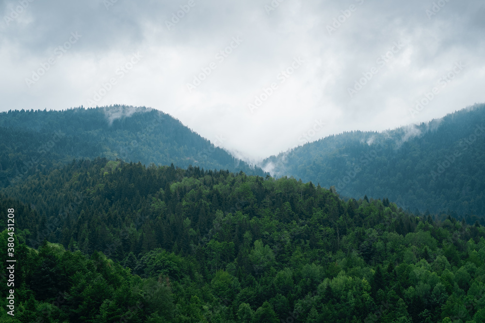 Foggy Mountain Landscape Foggy Mountain Landscape