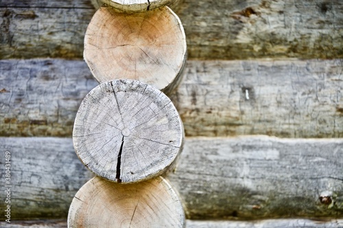 The Frame of the wooden log house close up. Log cabin walls made from an arctic pine. The walls of the log house made from Kelo. Saw cut of an arctic pine trunk close-up. Tree rings texture close up.