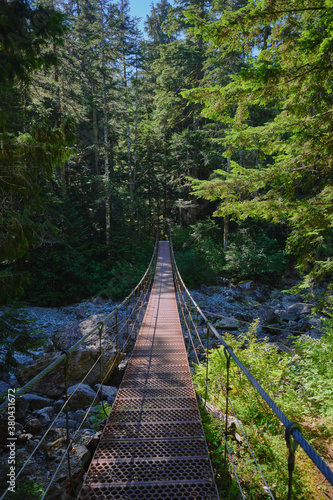 Suspension bridge on Bedwell Lakes trail, Strathcona Provincial Park, BC