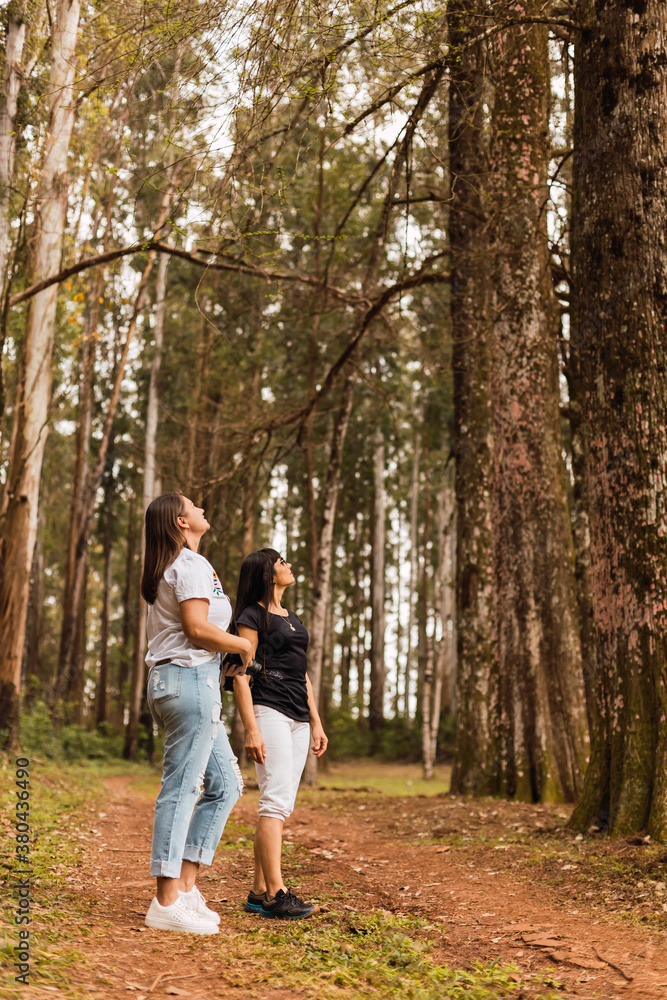 Womans on a jungle. They are travelers. Travel and outdoors concept Womans on a jungle. They are travelers. Travel and outdoors concept