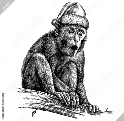 black and white engrave isolated monkey vector illustration