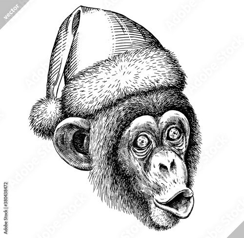 Photography black and white engrave isolated monkey vector illustration