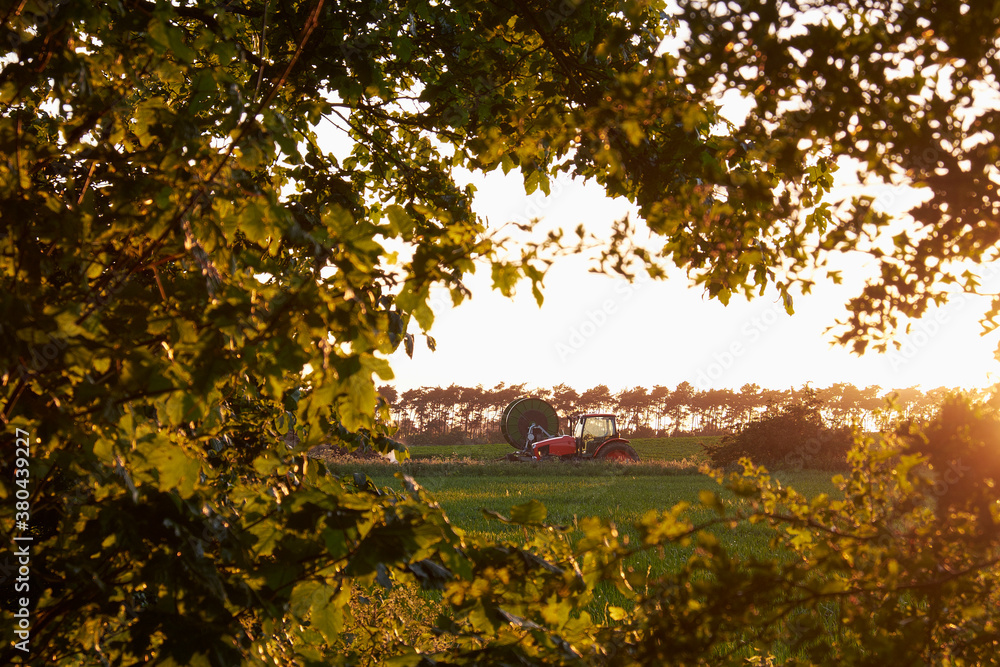 Tractor and irrigation system in a field at sunset. Norfolk, UK.
