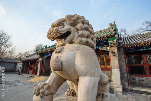 Stone lion in the Prince Gong_ÔøΩÔøΩs Mansion,Beijing photo