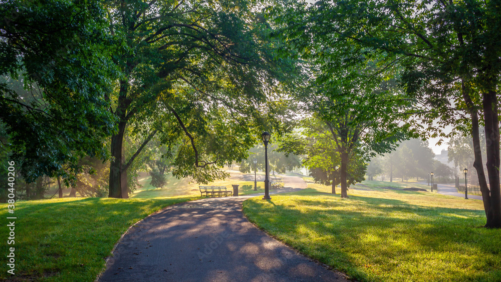 Fototapeta premium Central Park summer
