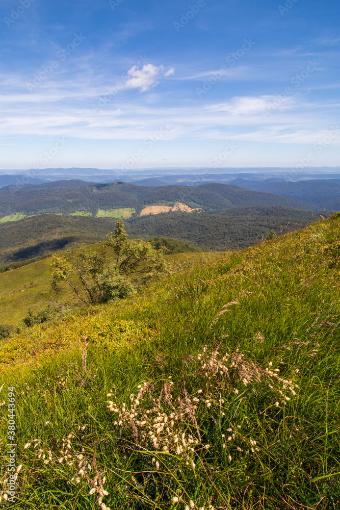 Obraz premium Landscape with mountains and blue sky. Beskids Mountains
