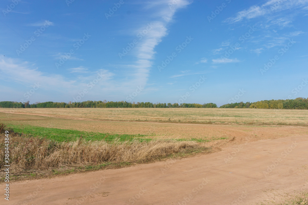 Obraz premium landscape with a field