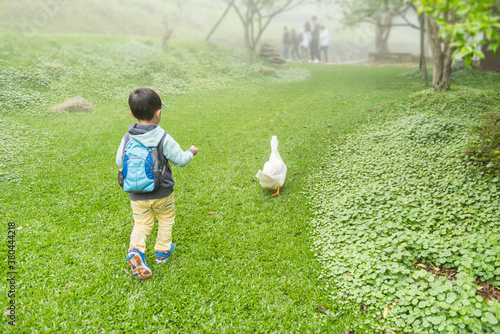 Playful boy chasing goose on meadow