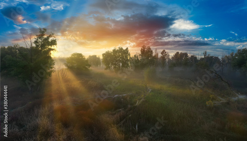 Enchanted morning summer green meadow in fog and sunlight