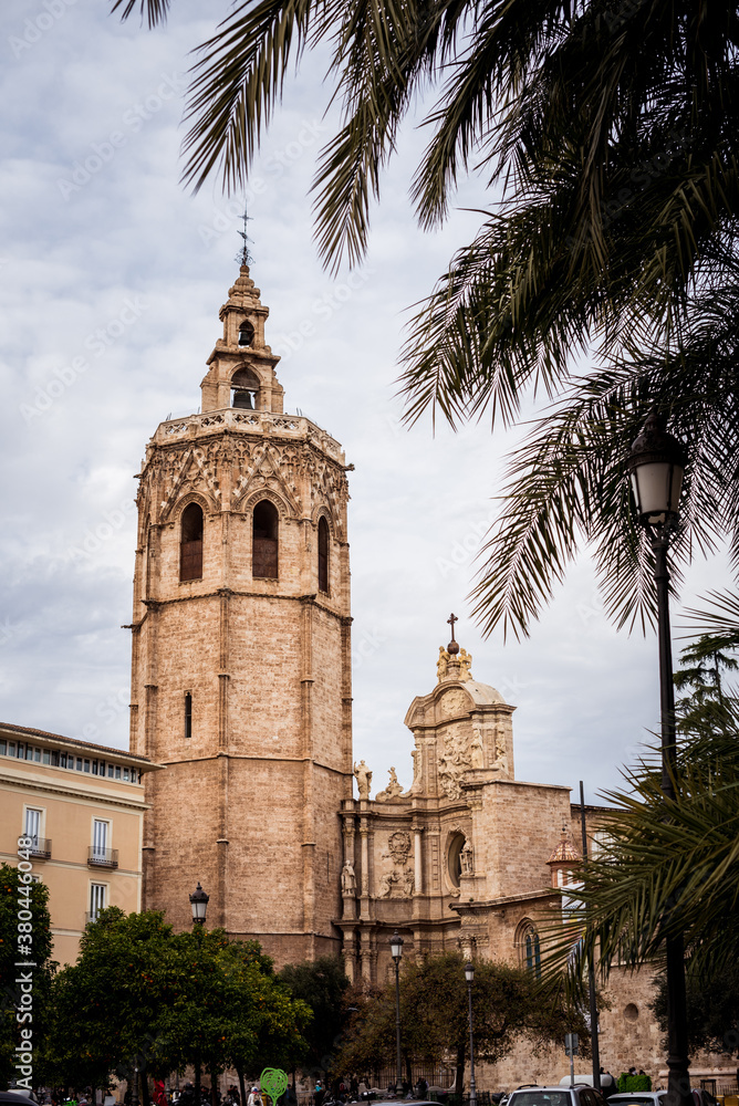 the great tower of the church cathedral and the palm tree