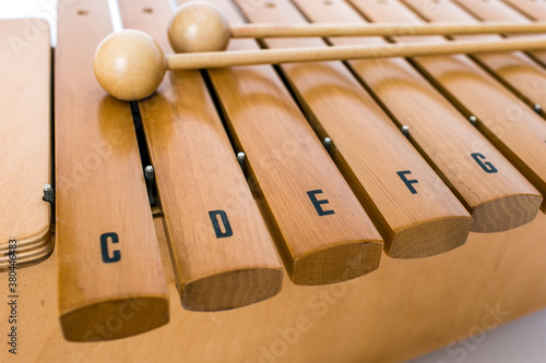 The xylophone and two mallets on the white background