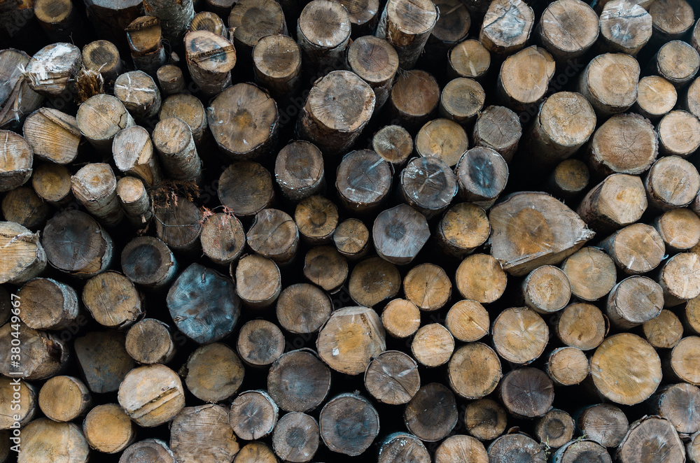 Stacked woods Stacked woods