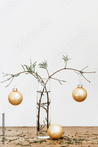 Two fir twigs having lost their needles after Christmas photo