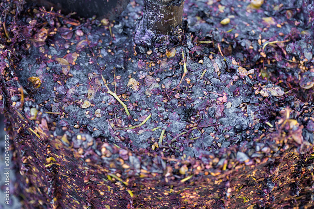 Winepress with red must and helical screw. Production of traditional Italian wines, crushing of grapes. Winepress with red must and helical screw. Production of traditional Italian wines, crushing of grapes.