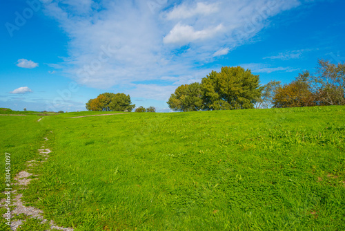 Dike in a green grassy field in sunlight under a blue sky in autumn, Almere, Flevoland, The Netherlands, September 24, 2020 