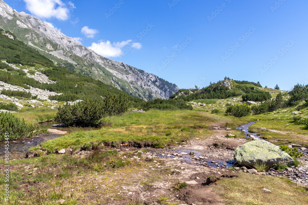 Obraz premium Banderitsa River at Pirin Mountain, Bulgaria