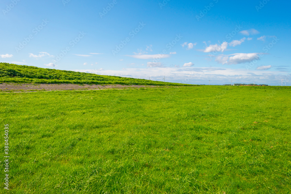 Dike in a green grassy field in sunlight under a blue sky in autumn, Almere, Flevoland, The Netherlands, September 24, 2020
