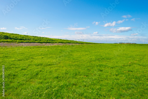 Dike in a green grassy field in sunlight under a blue sky in autumn  Almere  Flevoland  The Netherlands  September 24  2020 