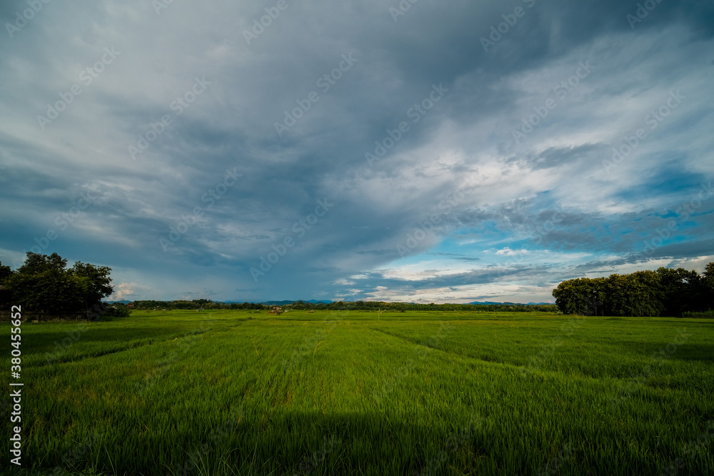 Obraz premium Green rice fields and beautiful mountain views.