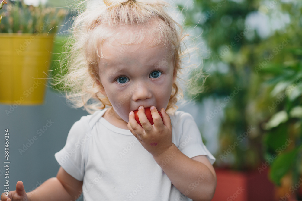 Adorable little boy tasting a fresh ripe tomato Adorable little boy tasting a fresh ripe tomato