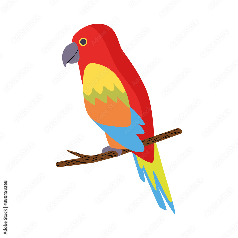 wild tropical parrot bird nature icon wild tropical parrot bird nature icon